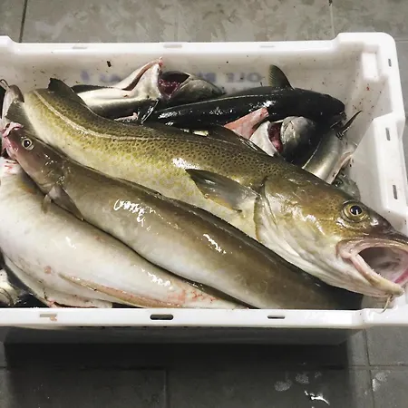 Dom wakacyjny Gorgeous In Hundeidvik